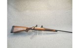 Remington ~ 700 - 243 Winchester - 1 of 10