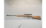 Glenfield ~ 60 - 22LR - 10 of 10