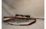 Winchester ~ 100
