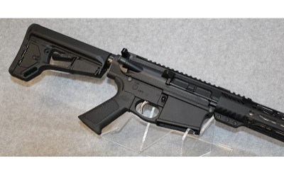 Palmetto State Armory~G3-10~.308 Win - Image 2 of 7