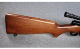 Winchester Model 43 .22 Hornet - 5 of 8