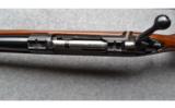 Winchester Mdl 70 in .300 H&H, Pre '64 (Refinished) - 9 of 9