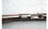 Browning A-5 (Belgium) , 16 Gauge Standard, Plain Barrel, Mfg.1951 - 4 of 9
