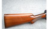 Browning A-5 (Belgium) , 16 Gauge Standard, Plain Barrel, Mfg.1951 - 3 of 9