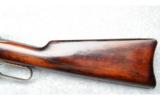 WINCHESTER 1886 SADDLE RING CARBINE .40-65 WCF with CODY LETTER, BEAUTIFUL CASE COLORS! - 7 of 9