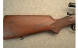 Winchester Model 52 Pre 