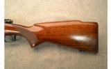 Winchester Model 70 Pre-64 in .30-06 SPRG - 7 of 9