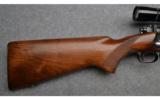 Winchester Model 70 Pre-64 in .270 WIN - 3 of 7