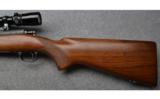 Winchester Model 70 Pre-64 in .270 WIN - 7 of 7