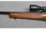 Winchester ~ Model 70 ~ .270 Win - 7 of 9