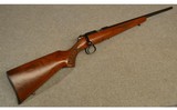 CZ ~ 455 American ~ .22 Long Rifle - 1 of 11