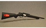 Savage Arms ~ 93R17 ~ .17 HMR - 1 of 10