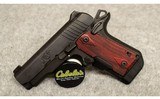 Kimber ~ Micro Carry ~ .380 ACP - 2 of 2