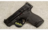 Smith & Wesson ~ M&P9 Shield Plus ~ 9mm Luger - 2 of 3