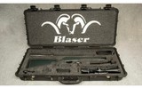 Blaser ~ R8 Professional Hunter ~ .257 Weatherby Magnum - 12 of 12