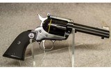 Ruger ~ New Model Blackhawk ~ .44 Special