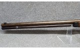 Winchester ~ 1876 ~ .45-75 Winchester - 6 of 10