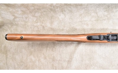 Ruger ~ 10/22 ~ .22 Long Rifle - Image 9 of 11