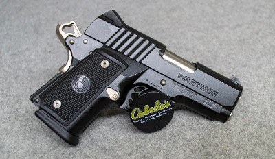 Para Ordnance ~ Warthog ~ .45 ACP - Image 1 of 2