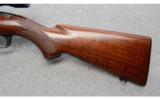 Winchester Model 100 W/Scope
.308 Win. - 7 of 9