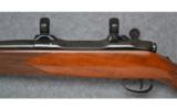 Colt Sauer, Sporting Rifle, .30-06 Sprg - 5 of 7