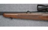 Winchester, Model 70, .270 Win - 6 of 7