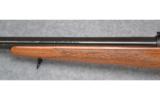 Winchester, Model 70, Heavy Barrel, .243 Win - 6 of 7