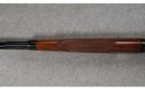 Winchester Model 1886 .45-70 GOVT - 8 of 9