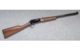 Henry, Pump Action Rifle, .22 Magnum - 1 of 9