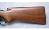 Winchester Model 71 Rifle, .348 WCF - 7 of 7