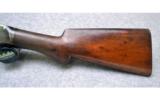 Winchester 1893 Shotgun, 12 Gauge - 7 of 8