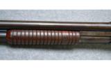 Winchester 1893 Shotgun, 12 Gauge - 6 of 8
