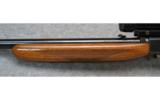 Browning ~ Semi-Auto 