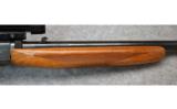 Browning ~ Semi-Auto 