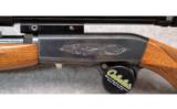 Browning ~ Semi-Auto 