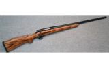 Remington ~ 700 VLS ~ .22-250 Rem. - 1 of 9
