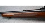Winchester ~ 70 ~ .22 Hornet Kilbourn - 7 of 9