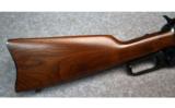 Winchester ~ 1895 ~ .30-06 Sprg. - 2 of 9