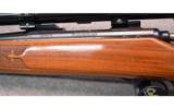 Remington ~ 700 ~ .22-250 Rem. - 8 of 9