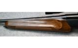 Benelli ~ R1 ~ .300 WSM - 7 of 9