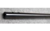 Benelli ~ R1 ~ .300 WSM - 6 of 9