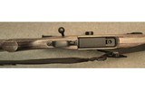 Savage ~ 11 ~ .308 Win - 5 of 9