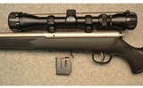 Savage ~ 93R17 Stainless ~ .17HMR - 8 of 10