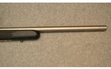 Savage ~ 93R17 Stainless ~ .17HMR - 4 of 10