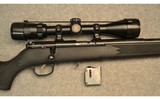 Savage ~ 93R17 ~ .17HMR - 3 of 10