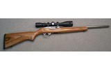 Ruger ~ 10/22 Semi Auto Rifle ~ .22 Long Rifle
