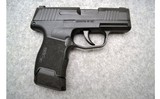 SIG Sauer ~ P365 ~ 9mm Luger - 1 of 3