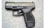 Taurus ~ GX4 ~ 9mm Luger - 2 of 3