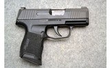 SIG Sauer ~ P365 ~ 9mm Luger - 1 of 3