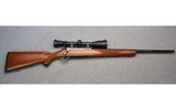 Ruger ~ M77 Mark II ~ .243 Winchester - 1 of 9